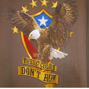 🐮 🐄 Celebrate Patriotic Short Sleeve T-Shirt